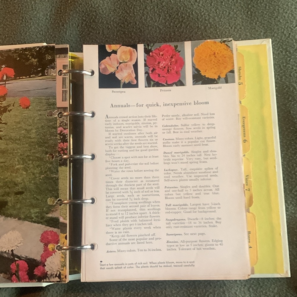 Vintage Better Homes and Gardens Garden Book. Second Edition 1954. - Picture 4 of 9